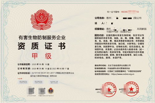 深圳企業(yè)信息技術咨詢服務 驅動數(shù)字化轉型的智慧引擎